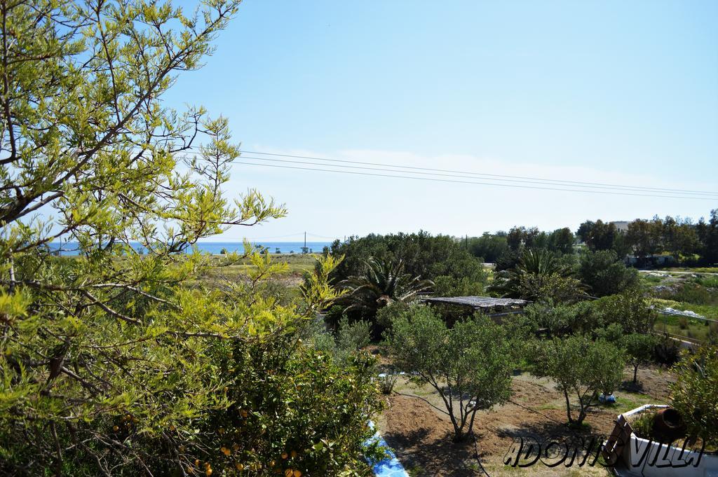 Adonis Villa Koutsounári Luaran gambar